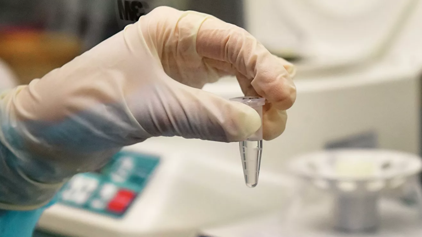 Российские учёные смогли расшифровать геном коронавируса