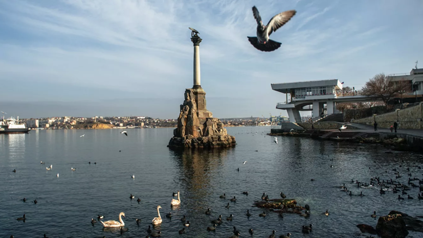 Волонтёры помогут пожилым жителям Севастополя во время режима повышенной готовности