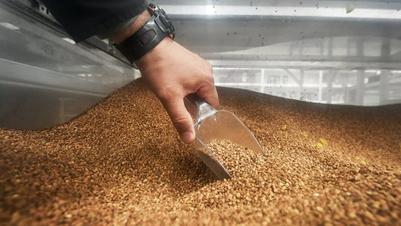 В Минсельхозе заявили о снижении спроса на крупы и макароны