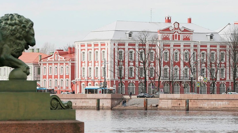 Образование санкт петербурга