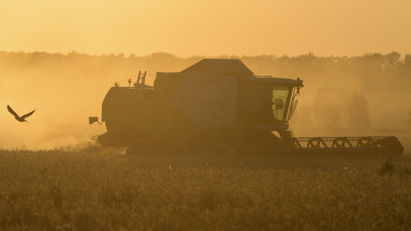 В АККОР прокомментировали идею снижения стоимости электроэнергии для фермеров
