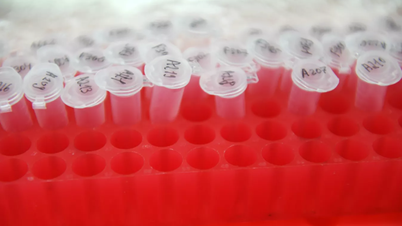 Более 180 тысяч человек в России из-за коронавируса наблюдают медики