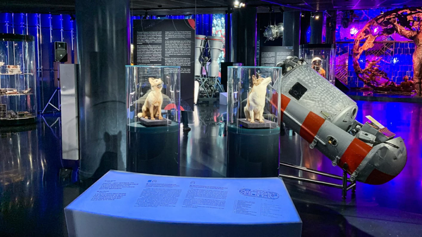 Московские музеи подготовили онлайн-выставки ко Дню космонавтики