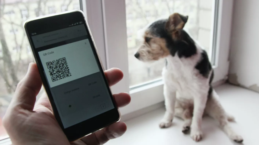 Минкомсвязь разработала приложение «Госуслуги СТОП коронавирус»