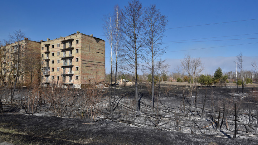 Сталкеров назвали возможной причиной пожаров в чернобыльской зоне
