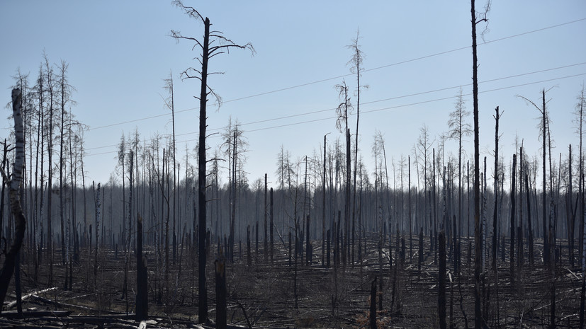 На Украине лесные пожары приблизились к хранилищам с радиоактивными отходами