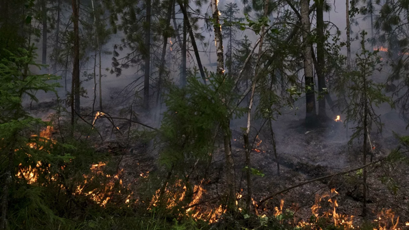 В Забайкалье ввели режим ЧС из-за лесных пожаров