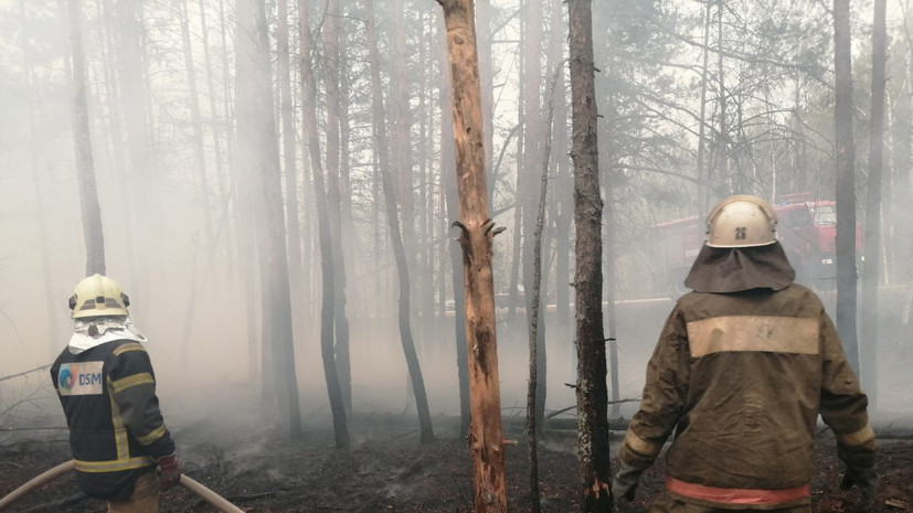 В МИД России прокомментировали пожары в чернобыльской зоне