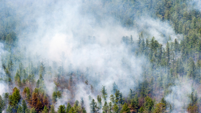 В Авиалесоохране рассказали о площади лесных пожаров в России