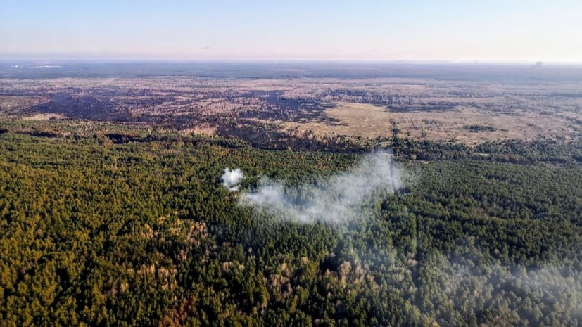 На Украине проводят антидиверсионную операцию из-за лесных пожаров
