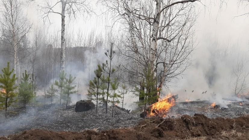 В Забайкальском крае горит более 700 гектаров тайги