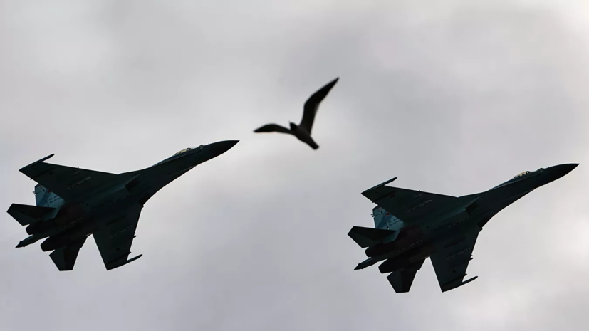 Российские истребители Су-27 сопроводили бельгийский F-16