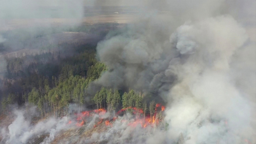 На Украине рассказали о ситуации с пожарами в чернобыльской зоне