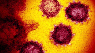 По словам специалиста, коронавирус SARS-CoV-2, который вызывает заражение COVID-19, постоянно изменяется