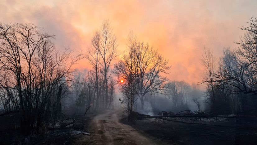 На Украине локализовали пожары в чернобыльской зоне