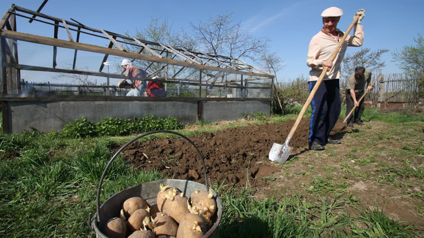 В Татарстане оформили более 900 тысяч смс-пропусков на дачу за три майских выходных