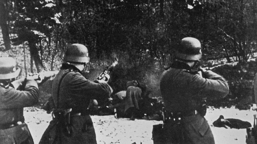 Немецкий дипломат оценил важность бережного отношения к фактам истории Второй мировой войны