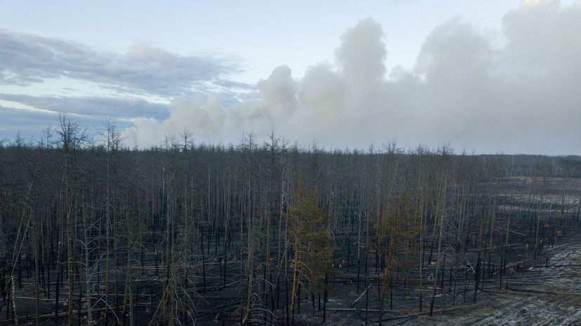 Зеленский сообщил о ликвидации пожаров в чернобыльской зоне отчуждения