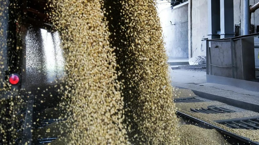 Россия передала КНДР 25 тысяч тонн пшеницы в качестве гуманитарной помощи