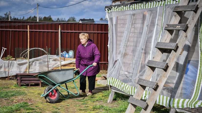 Власти Тюмени дали рекомендации дачникам на период пандемии