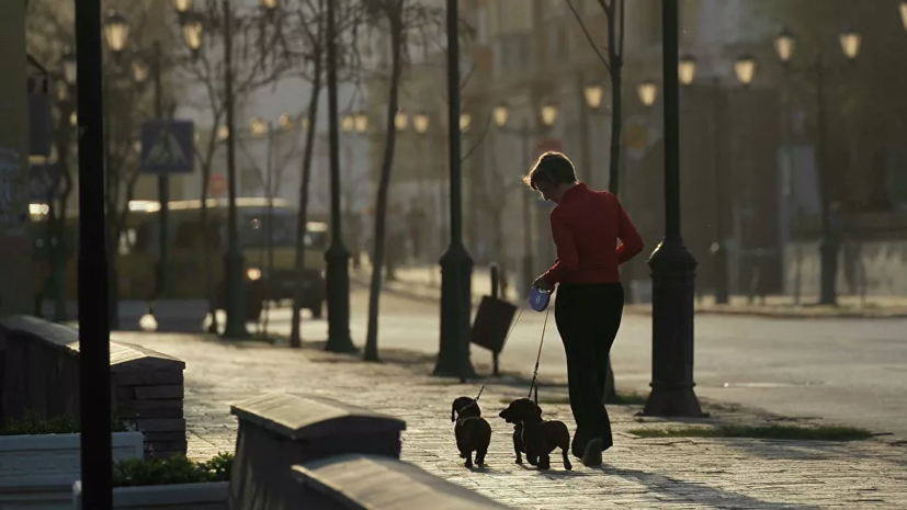 Астраханская область начала первый этап снятия ограничений