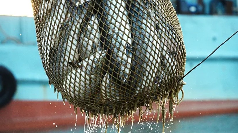 Россия сняла запрет на ввоз живой рыбы из Китая