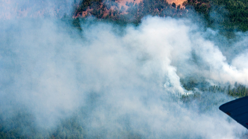 В Авиалесоохране рассказали о ликвидации лесных пожаров в России