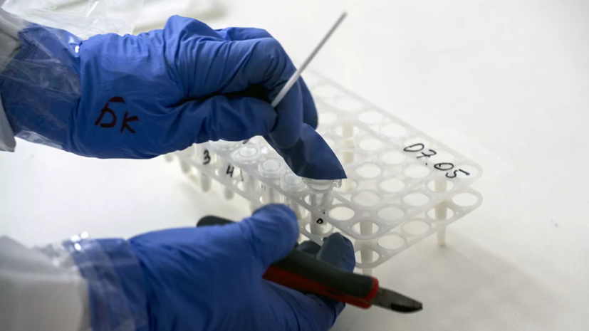 В России провели более 7,8 млн тестов на коронавирус