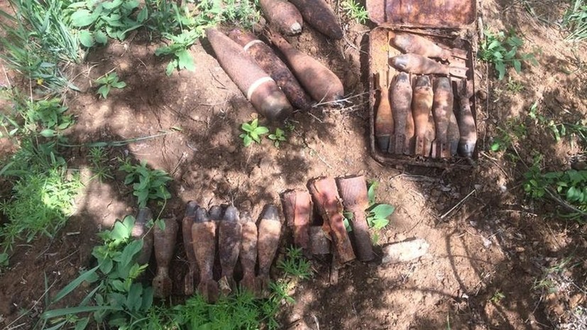 В Волгоградской области обезвредили более 20 боеприпасов времён Великой Отечественной войны