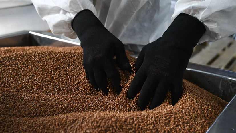 Россия поставила около 4 тысяч тонн гречки в Белоруссию за полтора месяца