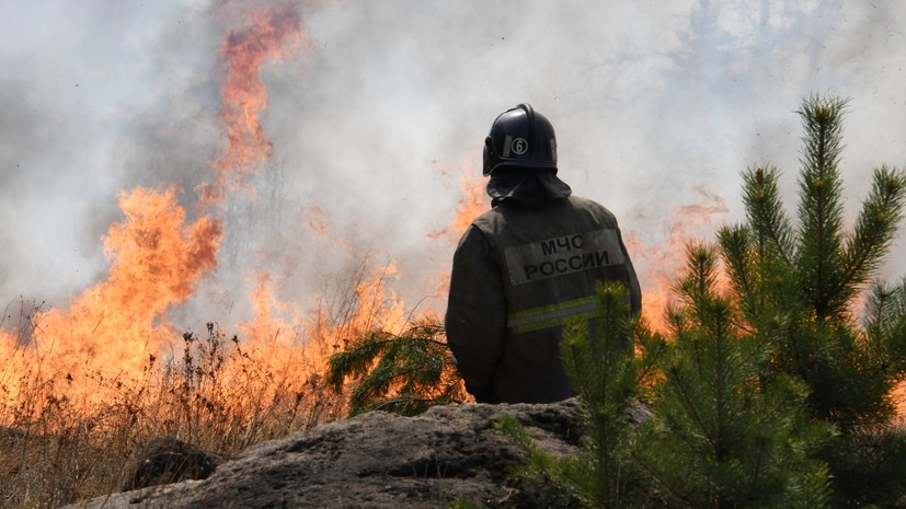 В России за сутки потушено 65 лесных пожаров