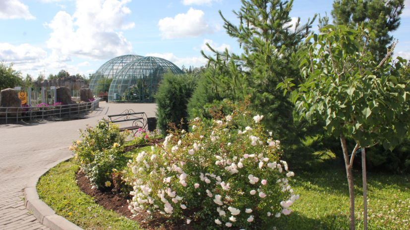 Ижевский зоопарк объявил о переходе на летний график