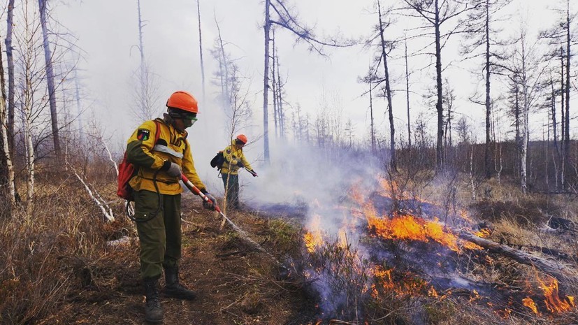 В Авиалесоохране рассказали о ликвидации лесных пожаров в России