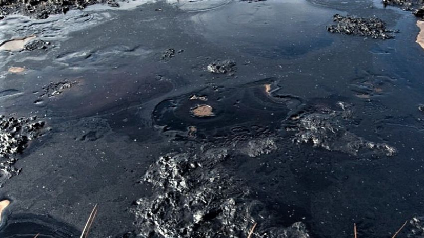 В Удмуртии разработали технологии восстановления почвы от нефти