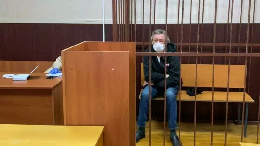 Ефремов заявил в суде, что согласен на домашний арест