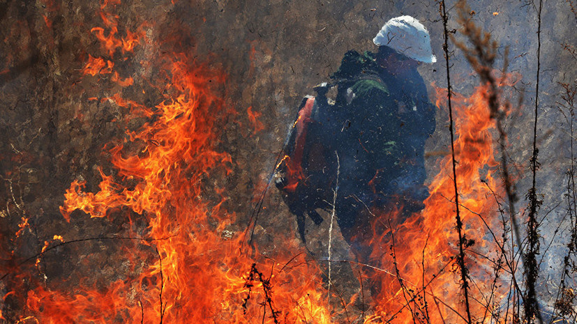 На Камчатке произошёл крупный природный пожар