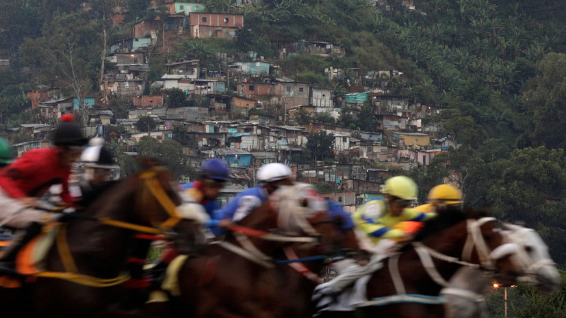 В Венесуэле украли и съели коня, побеждавшего на престижных скачках