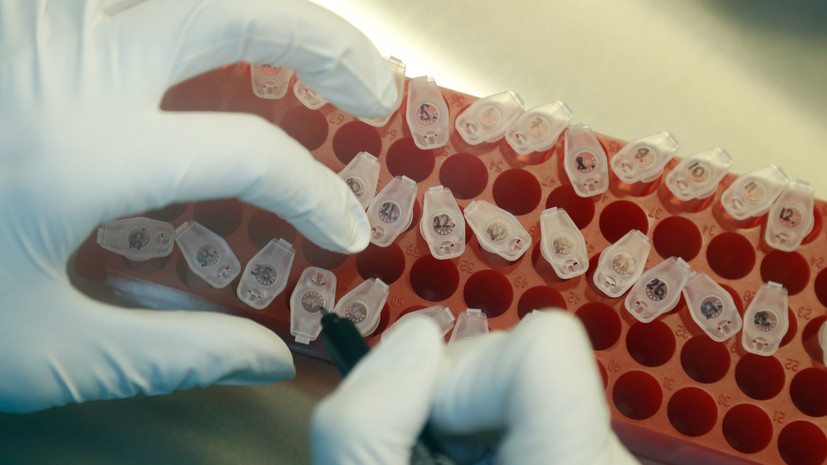 Источник: все судьи РПЛ сдали отрицательные тесты на коронавирус