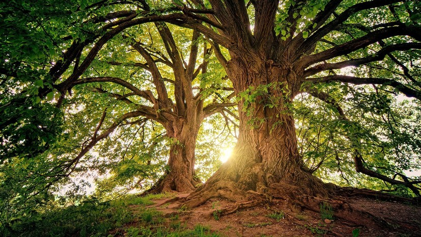 Глава Ростуризма рассказала о туристических преимуществах Хакасии