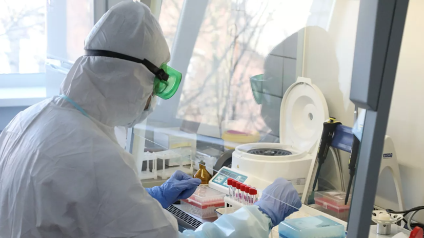 В России за сутки подтверждено 7113 случаев коронавируса