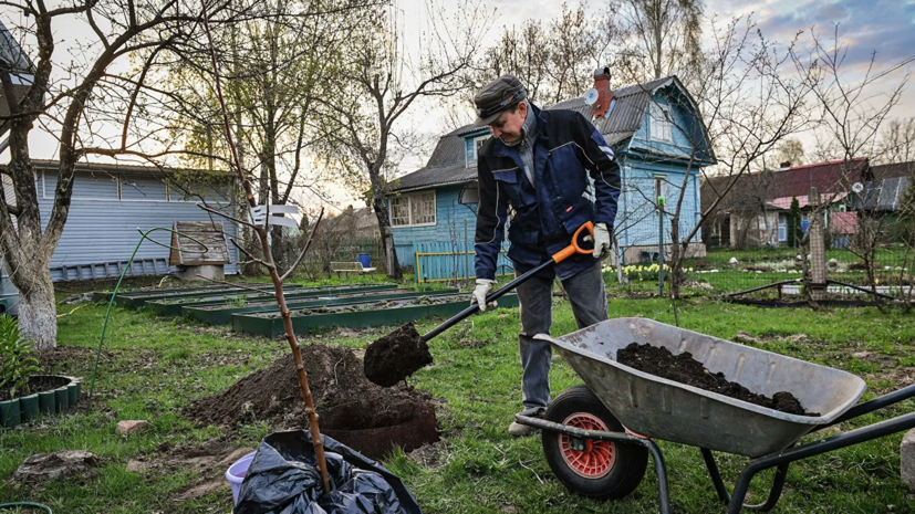 В Нижегородской области зафиксировали повышение спроса на аренду дач