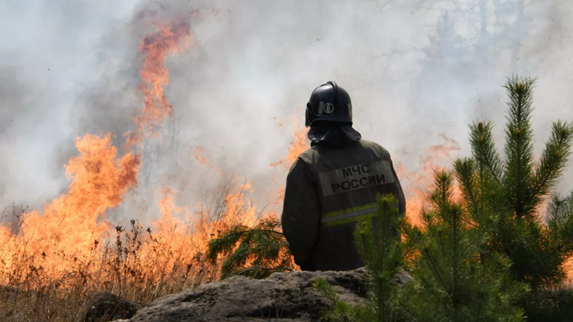 Более 150 человек тушат пожар на территории военного полигона в Ленобласти