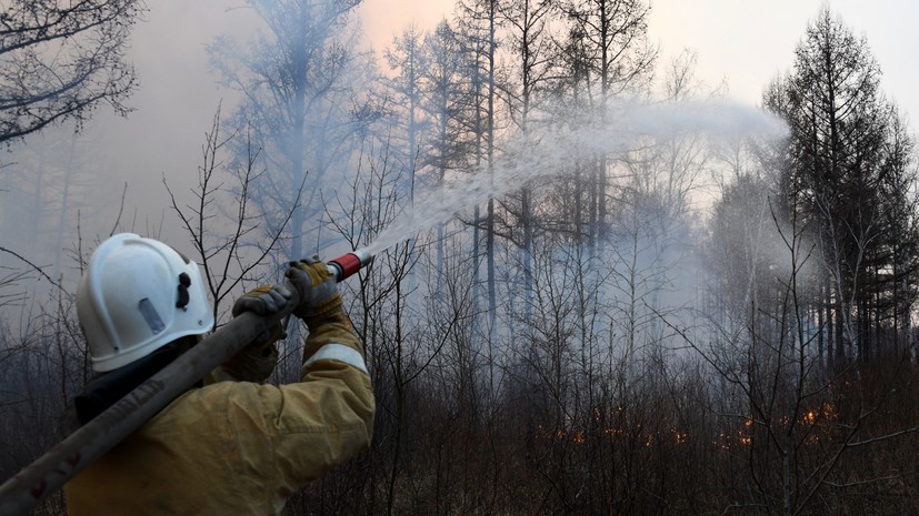 За сутки площадь лесных пожаров в России увеличилась до 165 тысяч га