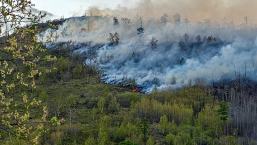 В России за сутки потушили 78 лесных пожаров
