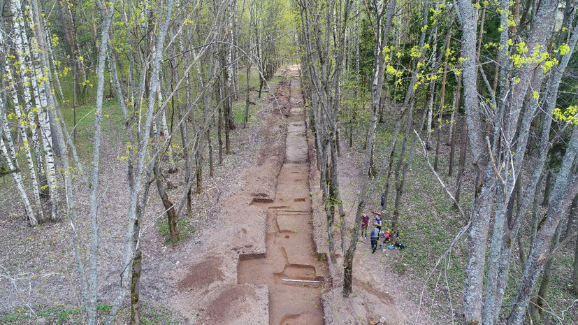 Парковый некрополь: археологи обнаружили во Владимирской области необычные средневековые погребения