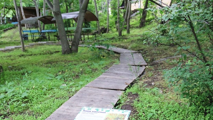 Экотропа «Зелёная Находка» появилась в историческом парке «Пограничная площадь»