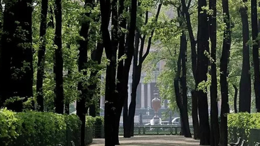 Михайловский сад в Петербурге открыли для посещения