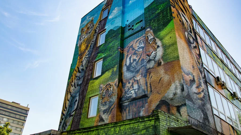 Фасады зданий в Москве украсили более 600 граффити с начала года