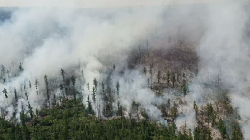 Лесопожарные службы потушили в России 134 природных пожара за сутки