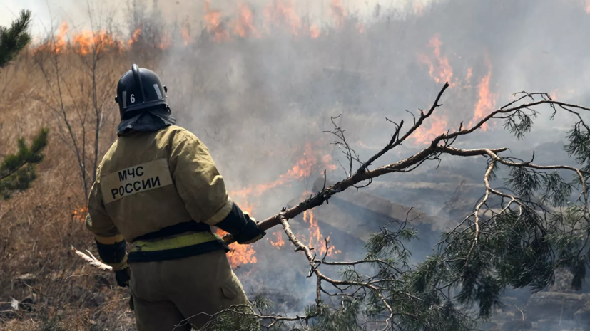Режим ЧС из-за лесных пожаров введён в Миассе